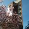 Il Giardino dell'Artista Stylish Home a Milano-35