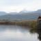 Le Ginestre B & B-40