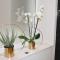LuMa Suite Via Veneto - Your luxury style 29-0