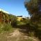 B&B Casa per ferie VillaggioCarovana-55
