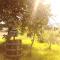 Green Fields-58
