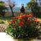 il giardino sul mare B&B-12