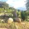 S'Imbragu Farm B&B-79
