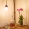 Casa Vacanze Gombito 4 Bergamo Alta-19