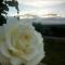 B & B Monte Adamo-13