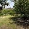 Villa Secchi bifamiliare sul mare IUNP4784-49