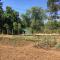 B&B Calecatine-29