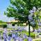 La collina delle fonti-15