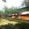 Mattinata Camping-18