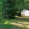 Camping Yoghi e Bubu-43