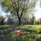 B&B Podere Merlo-76