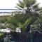 Al giardino Sant'Anna-24