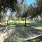 Casa vacanze "Gli Ulivi" Apt 3-2