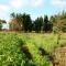 Agriturismo da Pina-36