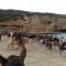 Centro di Turismo Equestre SHANGRILA'-14