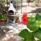 Sea Front Apartment 4 beds with balcony 250 meters from the beach-18