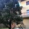FlatMILAN-24