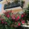 B&B La Magnolia-45