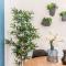 Design Apartments Sassari-Torre Tonda-9