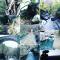 B&B Le Camelie del Bosco-28