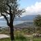 Villa Serra d'Elci-44