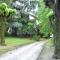 Edvina s home-44