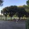 B&B PARCO 2 GIUGNO-47