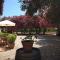 Tenuta La Chiusa-23