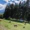 Haubenthal-4