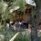 Weekend Glamping Resort-6