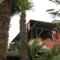 B&B Le Palme d'Oro-28