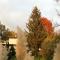Il Bosco Guest House Subiaco-94