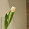 Luxury 2 Apartments Cervia with Swimming Pool-72