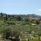 La Piaggiola degli Olivi-20