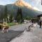 Alpine Touring Hotel-petfriendly-50