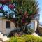 Sardinia Family Villas - Villa Carmen with sea view and pool-36