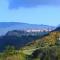 Borgo San Pietro-41