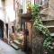 Residence Belvedere Apartment Volesio-63