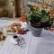 B&B Issicoro-10