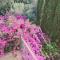 Relais Delle Rose-60