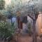 I Ginepri Guest House-3