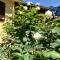 The Colours Of Chianti-8