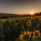 B&B Le Strade del GAVI-30
