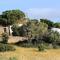 Lettu di Ita - Spectacular Gallura Stazzu with sea view and pool-6
