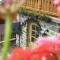 B&B Mary-6