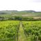 NaturalMente Wine Resort-51