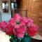 Einaudi 56 Guest House-19