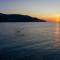 melograno Holiday Home featured with Swimming Pool and Private Beach-75