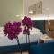 Hotel Stiegl Scala-36