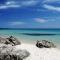 Case Li Conchi Sardegna C-18